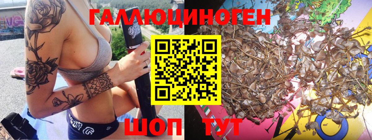 Псилоцибиновые грибы Psilocybine cubensis  Вход с VPN  Киреевск 