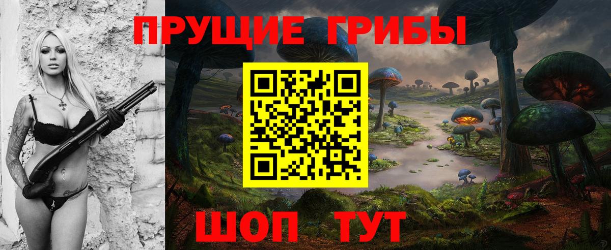 Псилоцибиновые грибы Psilocybine cubensis Киреевск